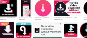 Tiktok Video Downloader Without Watermark Apk